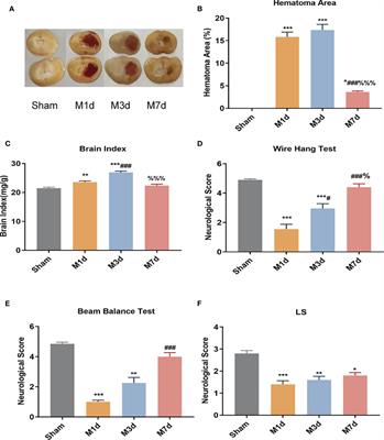 Dynamic Process of Secondary Pulmonary Infection in Mice With Intracerebral Hemorrhage